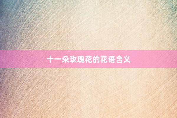 十一朵玫瑰花的花语含义